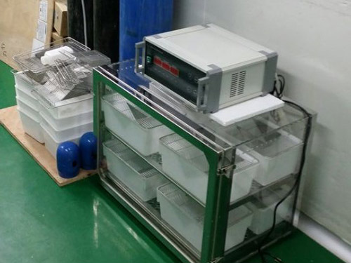 間歇性小鼠實驗